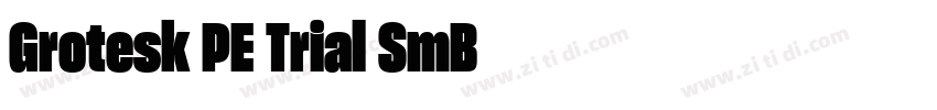 Grotesk PE Trial SmB字体转换